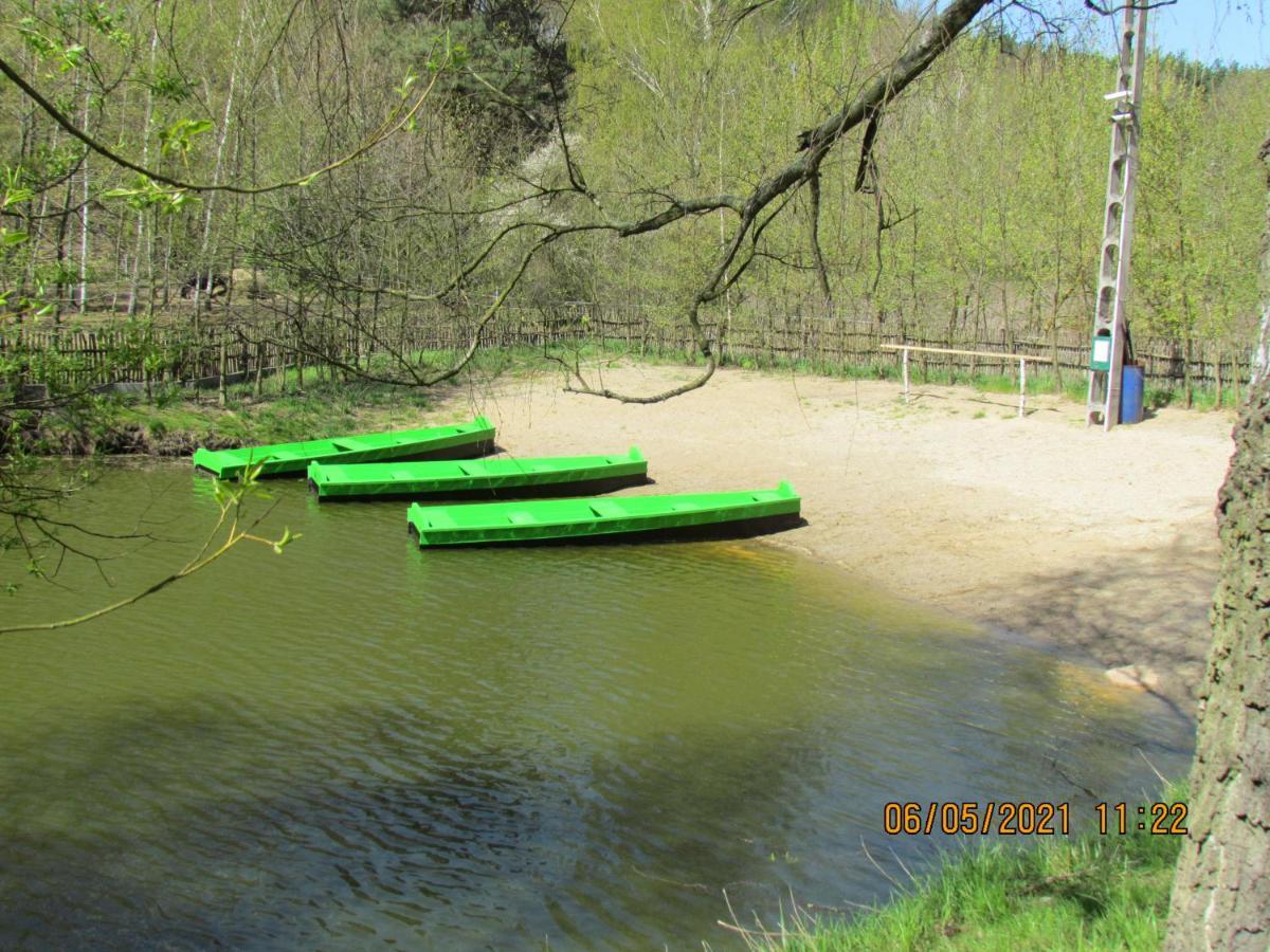 Apartament Agroturystyka Brzoza bon turystyczny Stary Toruń